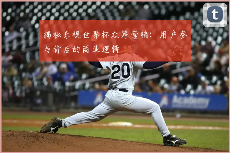 揭秘乐视世界杯众筹营销：用户参与背后的商业逻辑