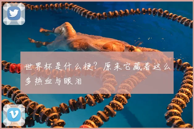 世界杯是什么梗？原来它藏着这么多热血与眼泪