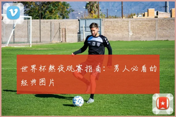 世界杯熬夜观赛指南:男人必看的经典图片