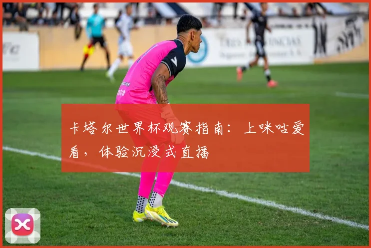 卡塔尔世界杯观赛指南：上咪咕爱看，体验沉浸式直播