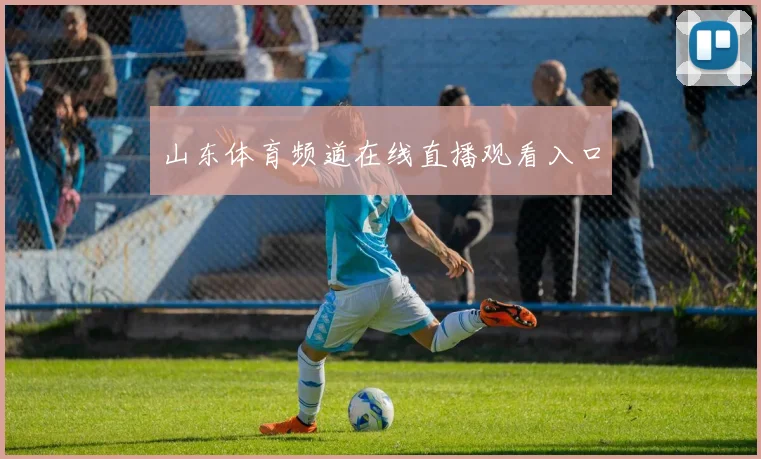 山东体育频道在线直播观看入口